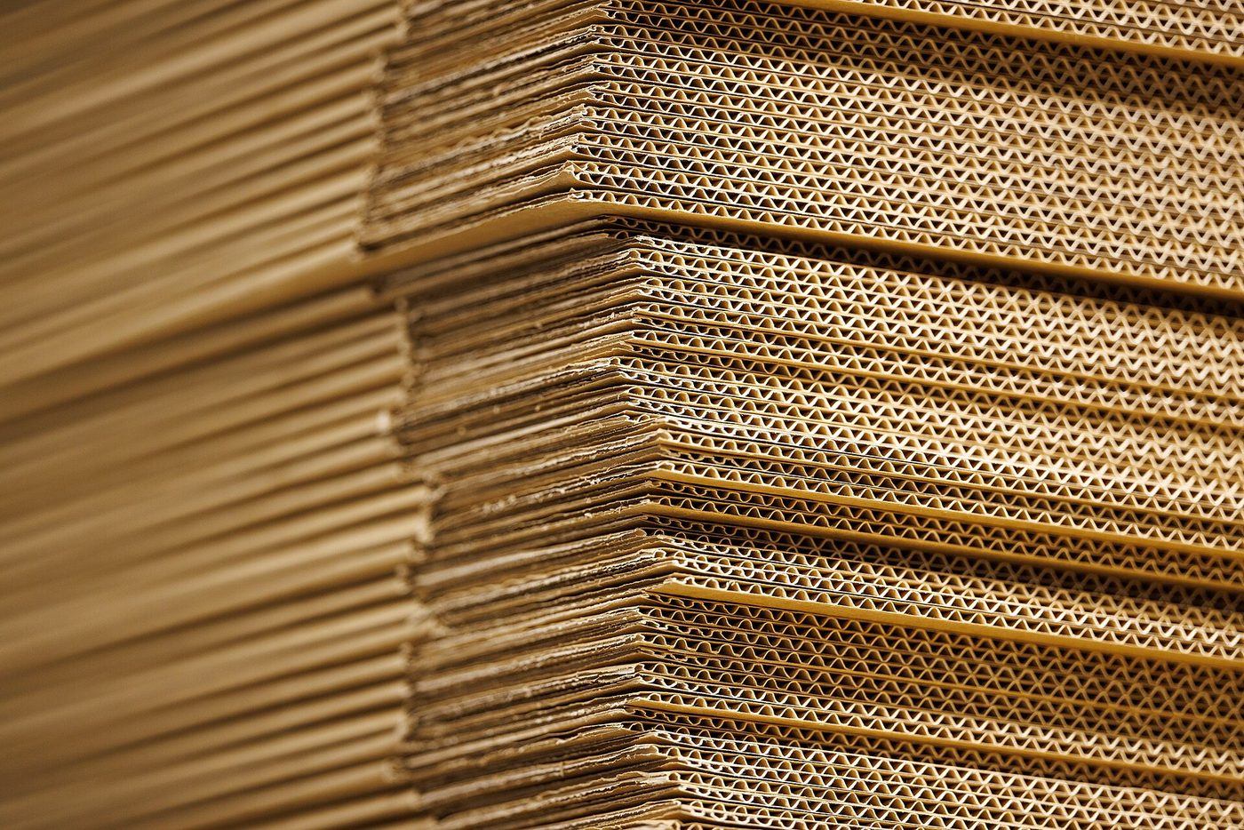 Packaging & export cartons